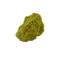 Nontronite no. 27 from the left profile, 2.88 inches long, its chalky green surface untreated and as-mined.