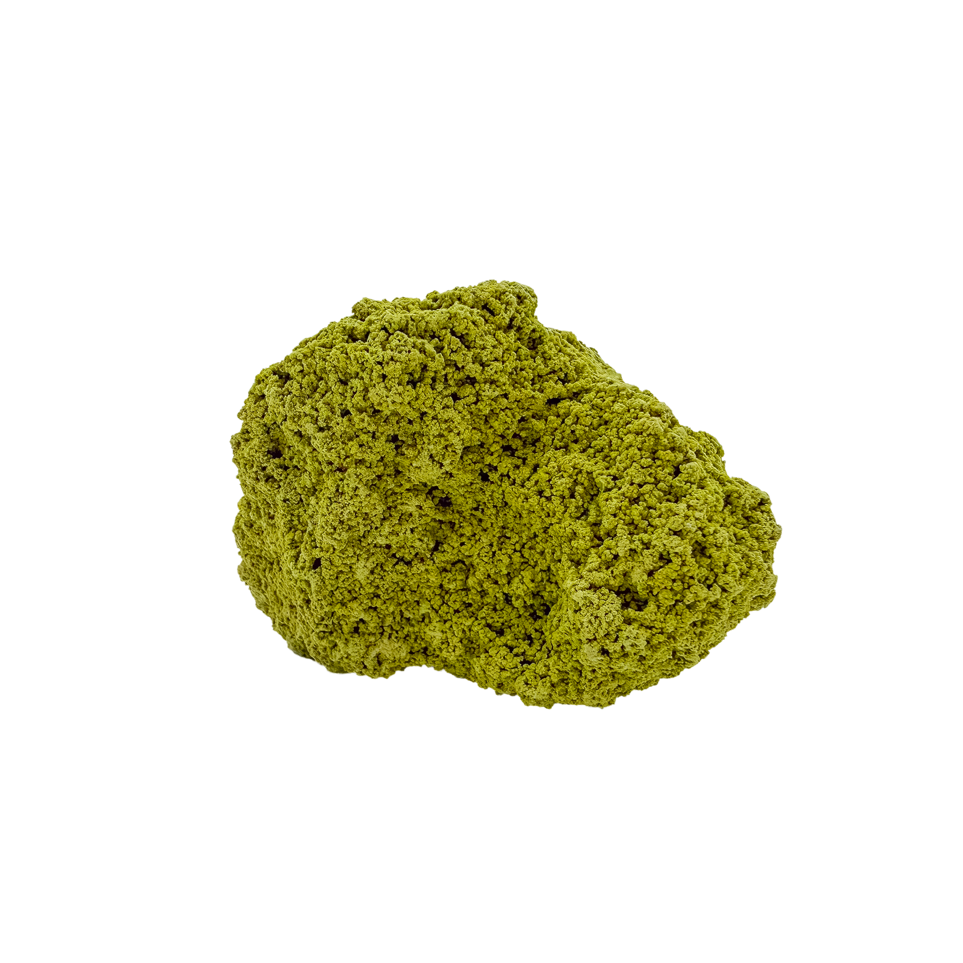 Untreated Brazilian nontronite, specimen no. 27, right profile, 2.63 by 2.69 inches of yellow-green botryoidal growth.