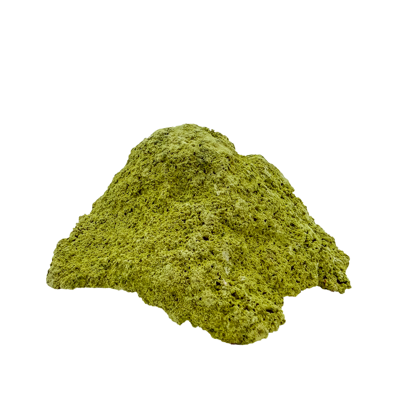 Primary display face of a 160 gram nontronite specimen, no. 28, its rounded olive-green growths covering weathered host rock.
