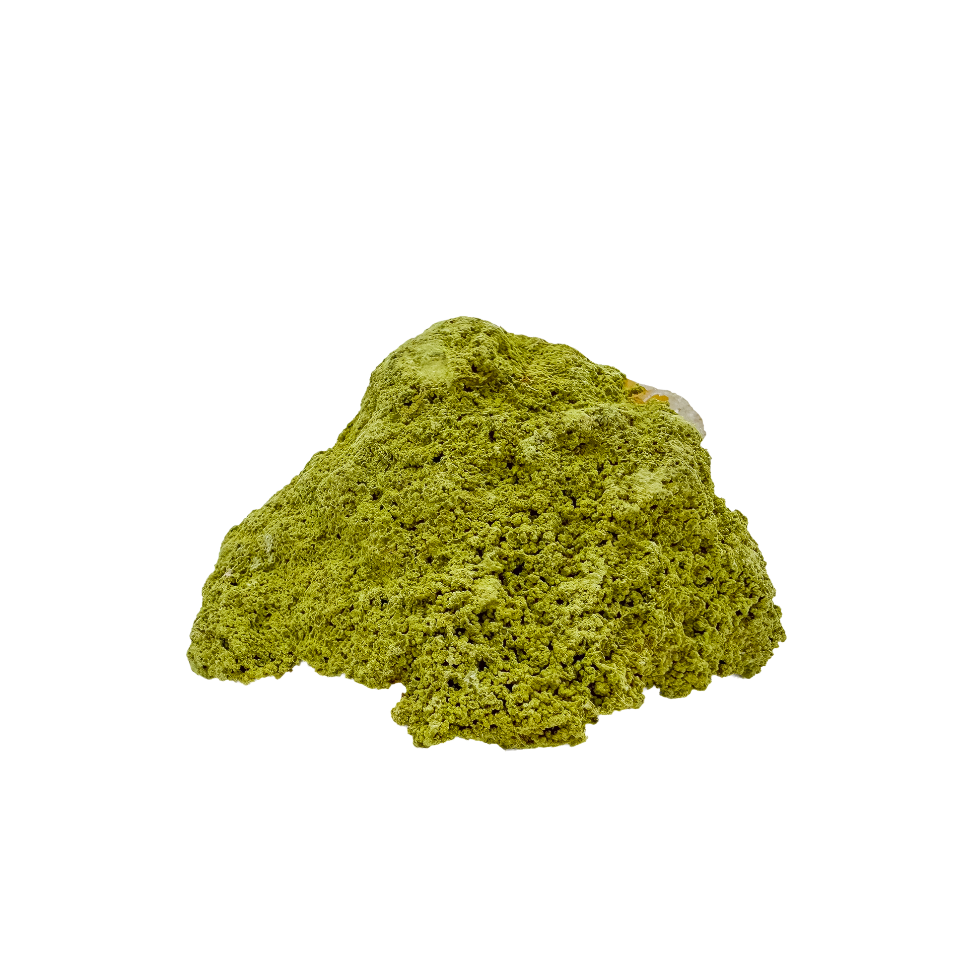Collector-grade Brazilian nontronite no. 28 photographed from the reverse side, 3.15 by 3.03 inches of bubbled green clay mineral.