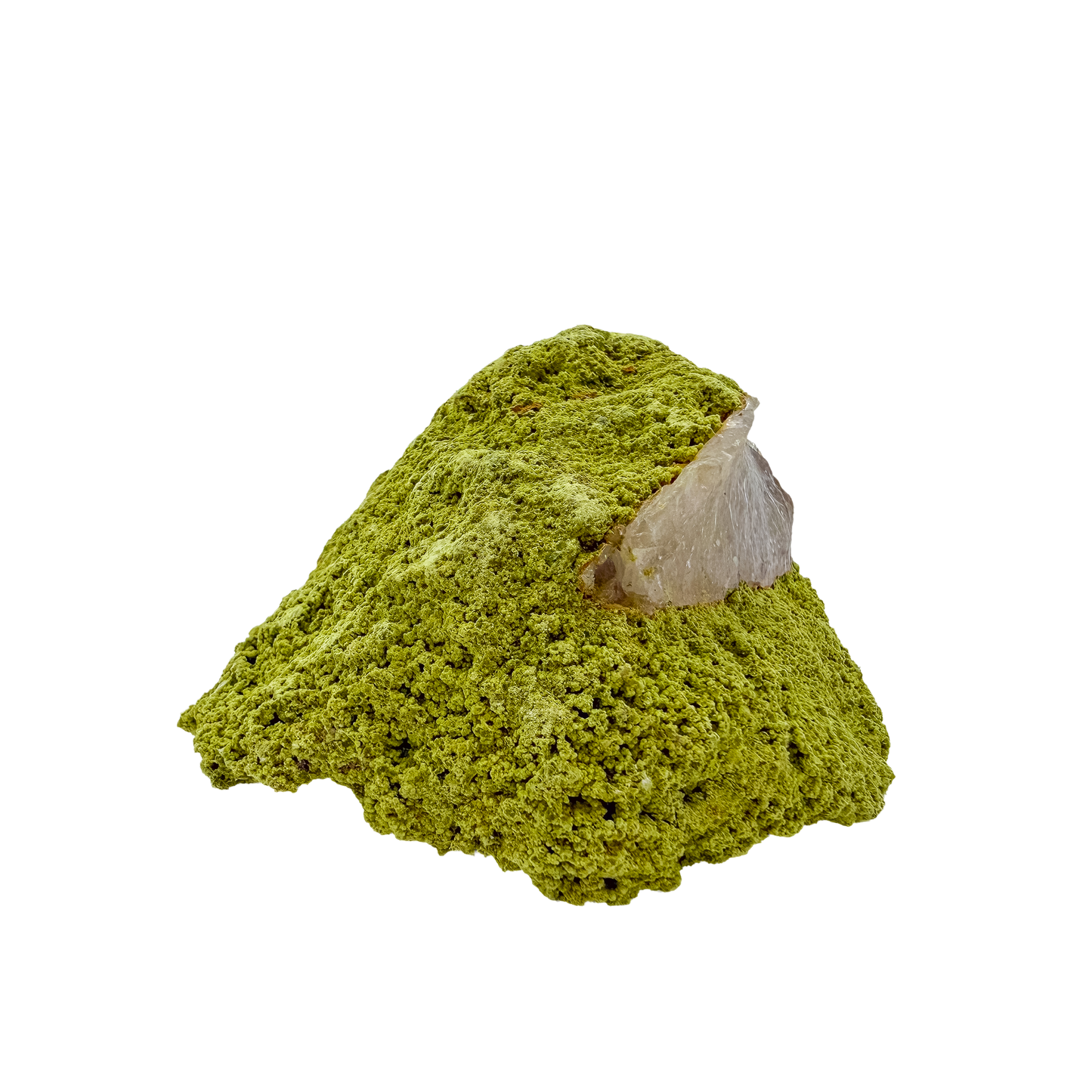 The left profile of nontronite no. 28, a 1.59 inch tall piece whose yellow-green surface reads as clustered bubbles.
