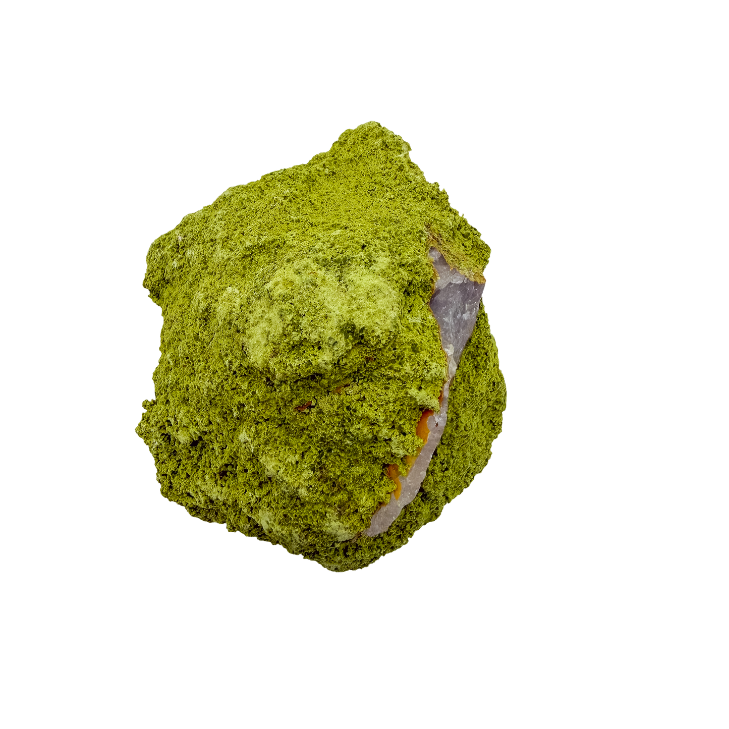 Top-down view of nontronite specimen no. 28, 3.03 inches wide, with soft botryoidal texture over exposed matrix.