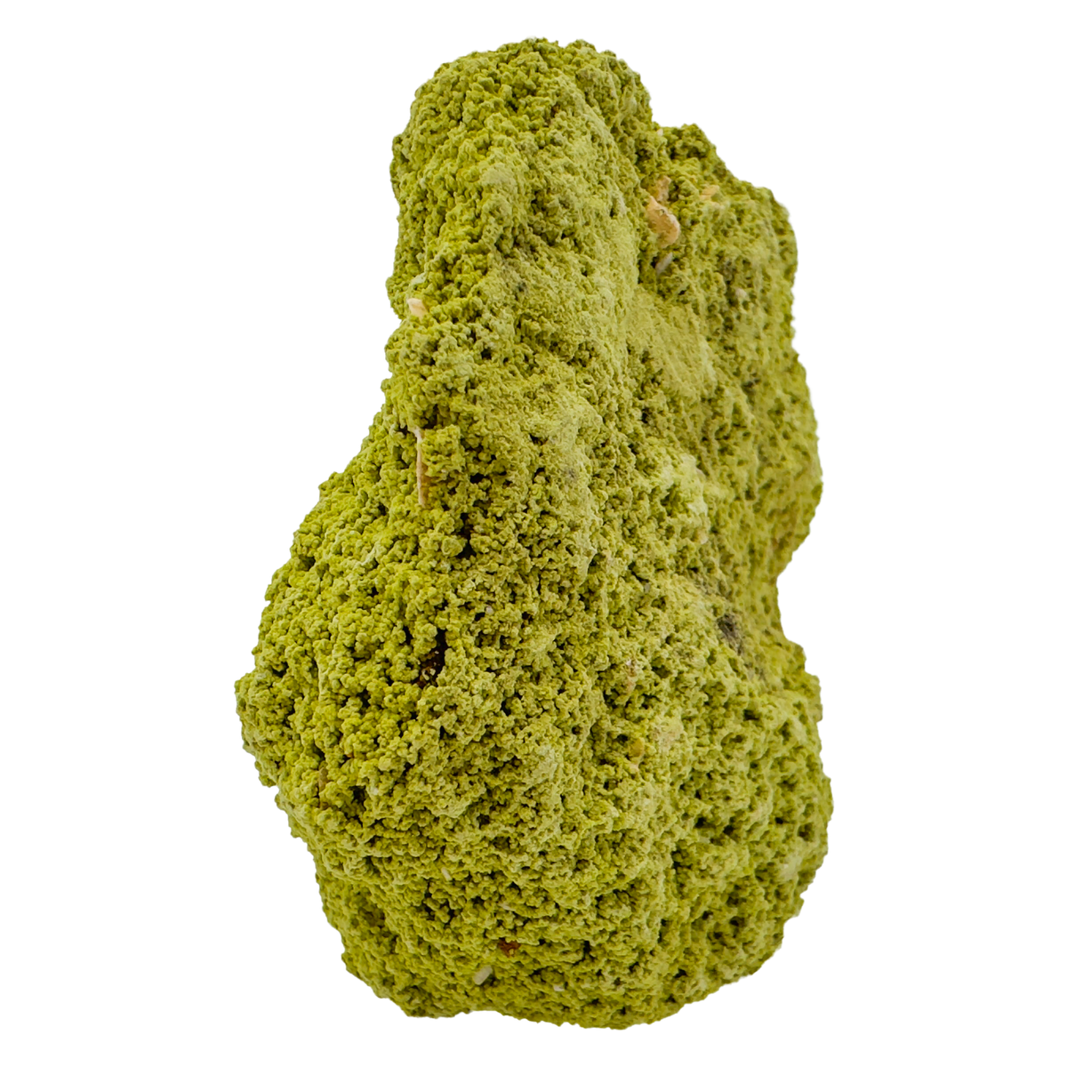 Raw nontronite collector specimen from Minas Gerais, Brazil, chartreuse-green botryoidal mineral, specimen 5, view 4
