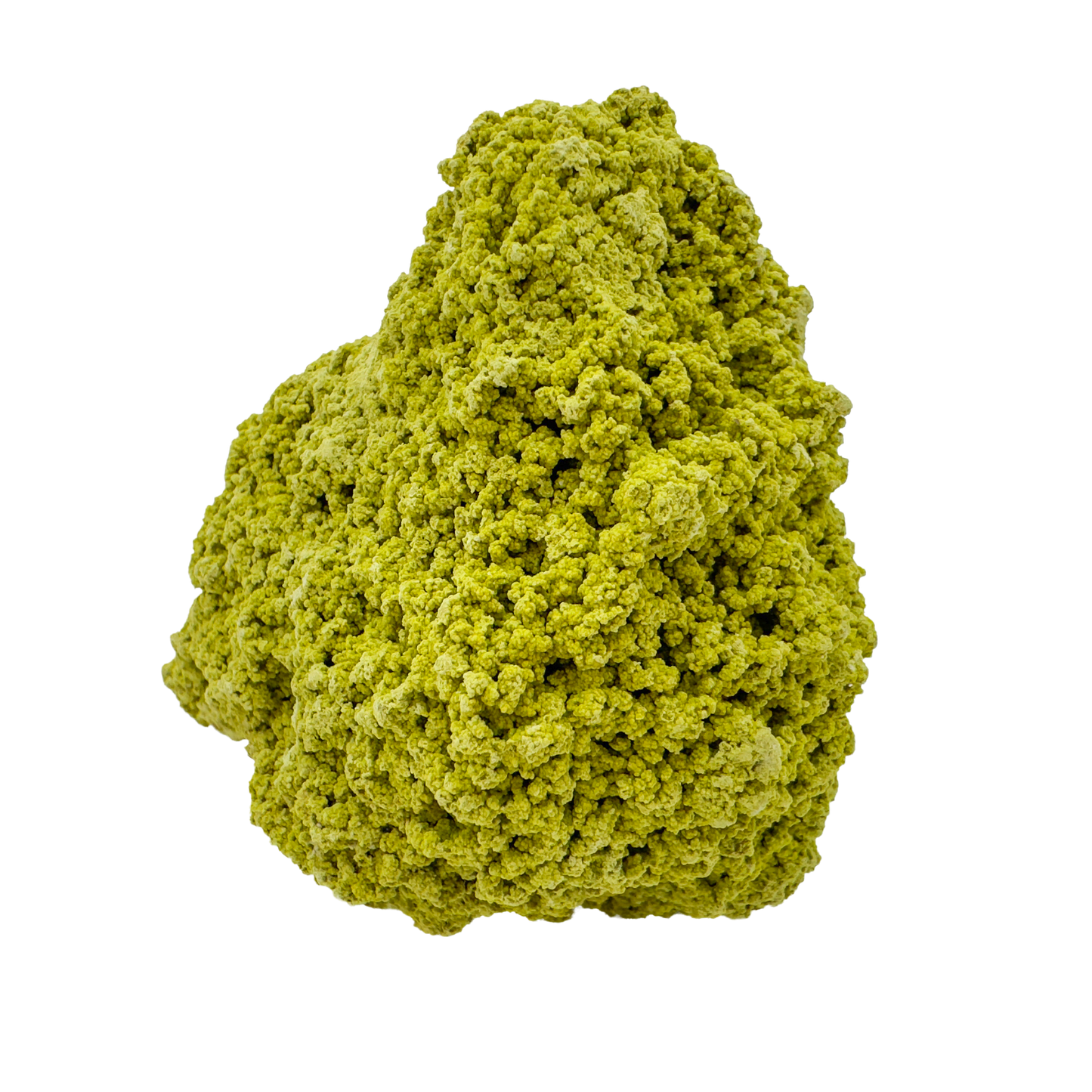 Raw nontronite collector specimen from Minas Gerais, Brazil, chartreuse-green botryoidal mineral, specimen 6, view 6