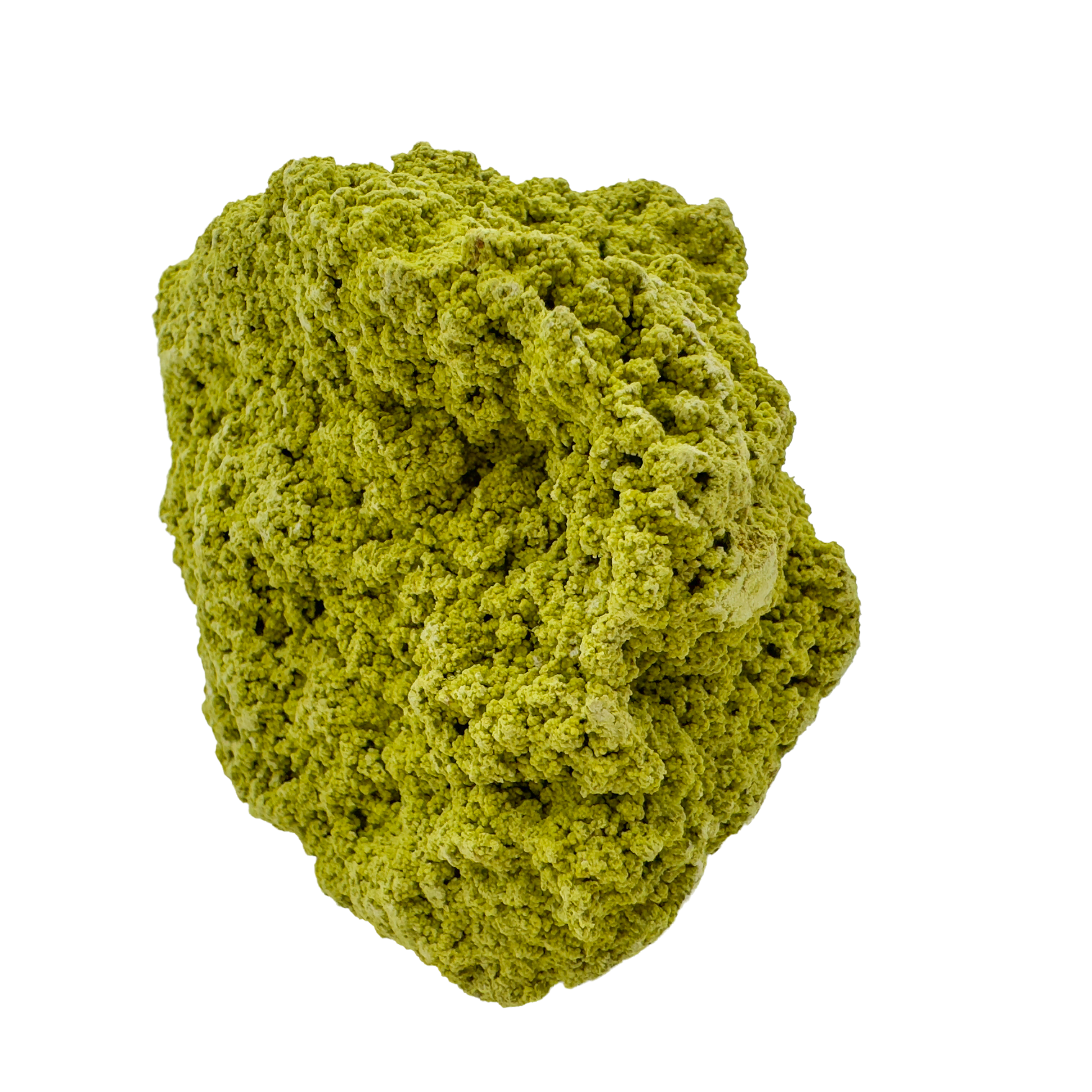 Raw nontronite collector specimen from Minas Gerais, Brazil, chartreuse-green botryoidal mineral, specimen 7, view 6