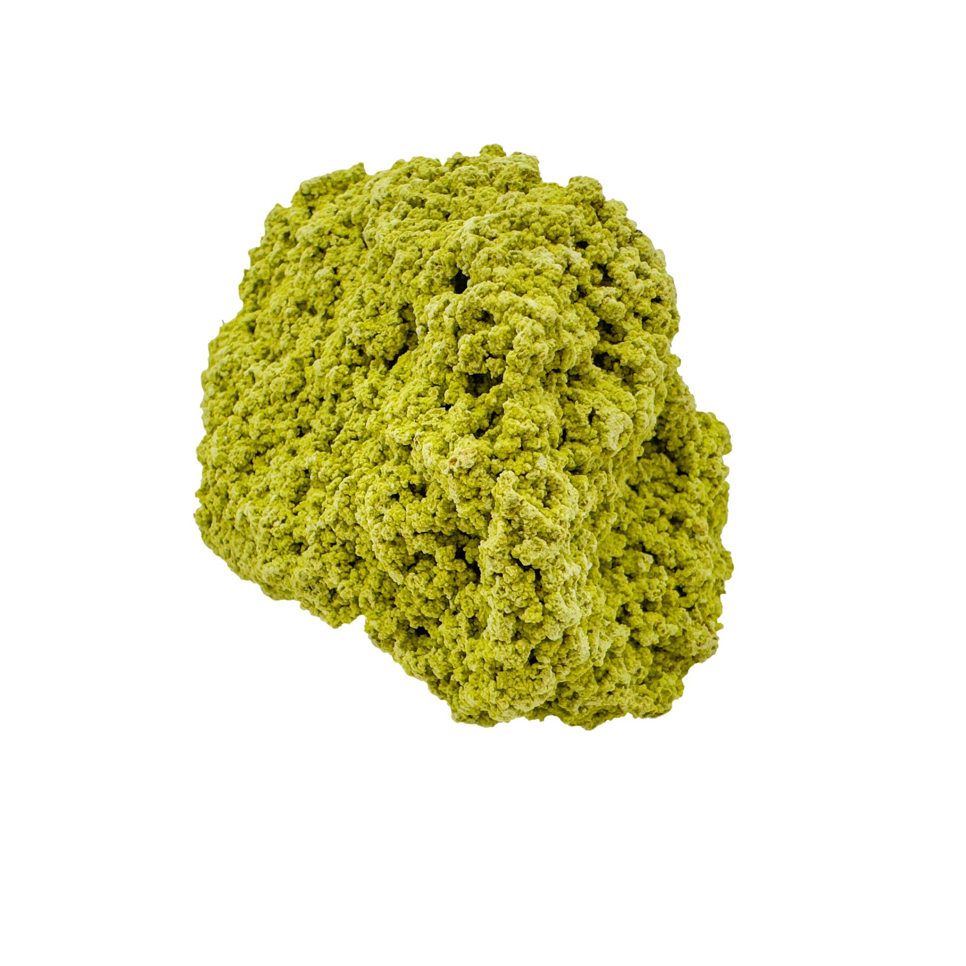 Raw nontronite collector specimen from Minas Gerais, Brazil, chartreuse-green botryoidal mineral, specimen 9, view 2