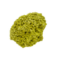 Raw nontronite collector specimen from Minas Gerais, Brazil, chartreuse-green botryoidal mineral, specimen 9, view 6