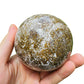 Rear view of Ocean Jasper polished sphere, showing characteristic color.