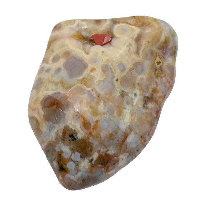 Ocean Jasper Tumbled Stones, AA Grade, Madagascar: one representative stone on a white background