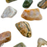 AA Ocean Jasper tumbled stones, warm tones and orbs, 0.75-1.25 inch, Madagascar