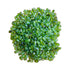 Peridot Crystals for Abundance, Confidence & Emotional Healing — green polished, AA grade from Arizona