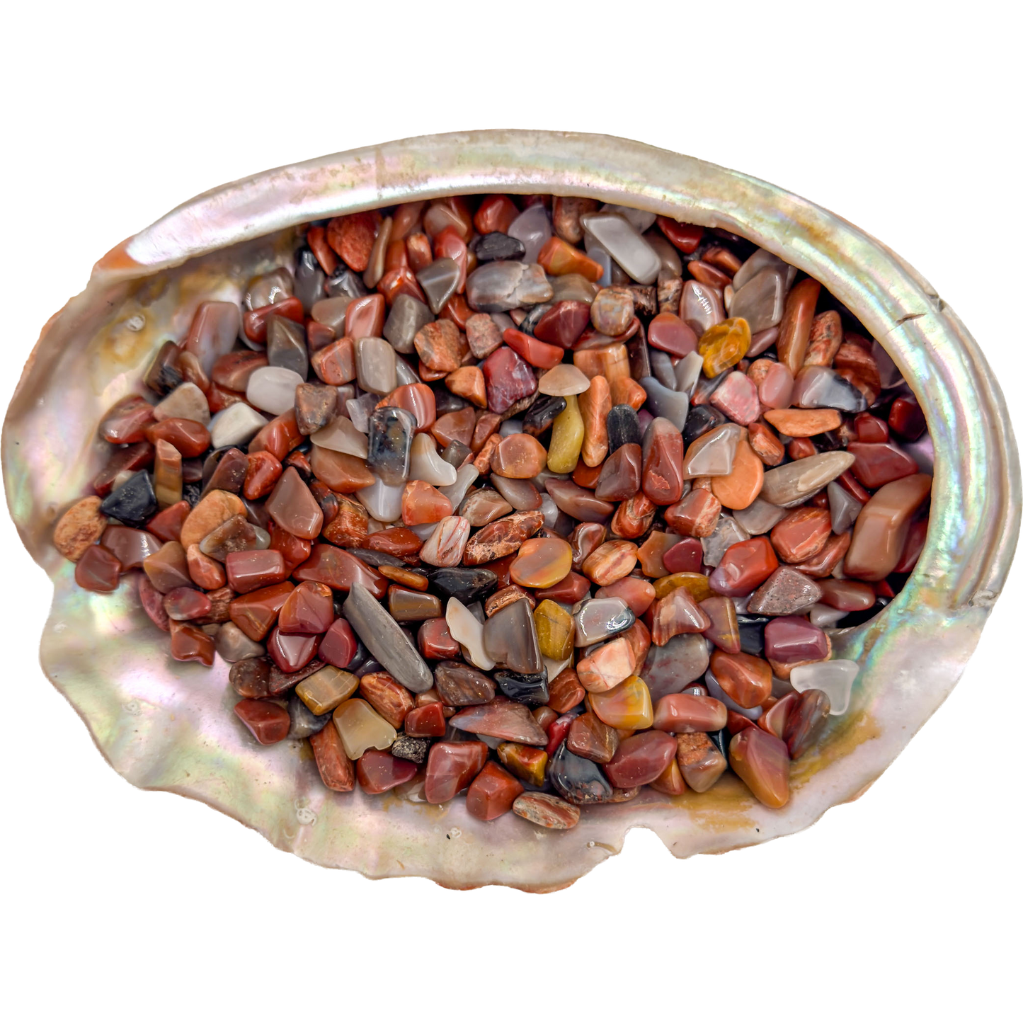 Petrified wood polished crystal chips from Madagascar, warm brown and tan tones, 0.25-0.50 inch