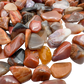 Petrified wood polished chips in hand showing size reference, fossilized Madagascar material