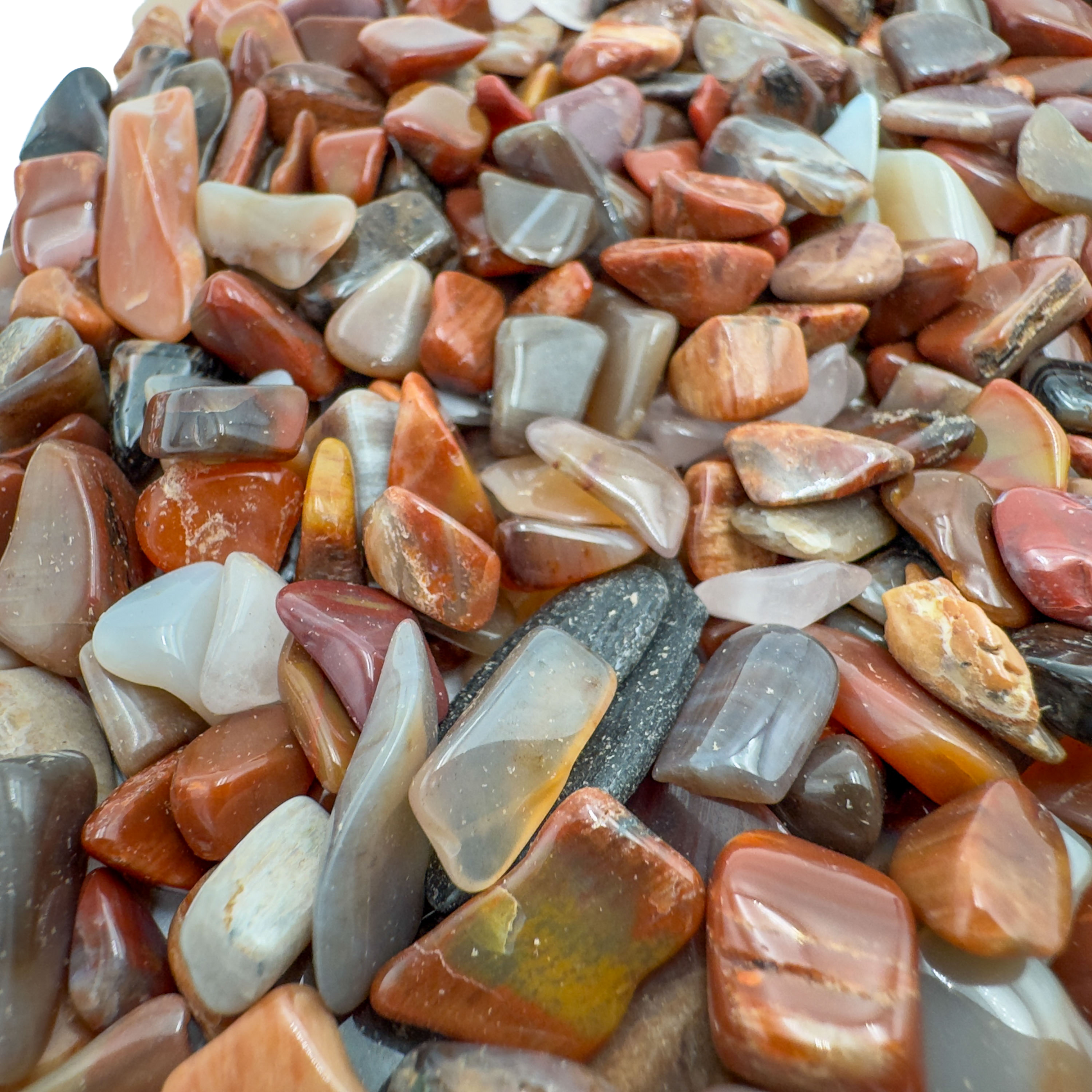 Petrified wood chips scattered on surface, ethically sourced Madagascar fossil wood