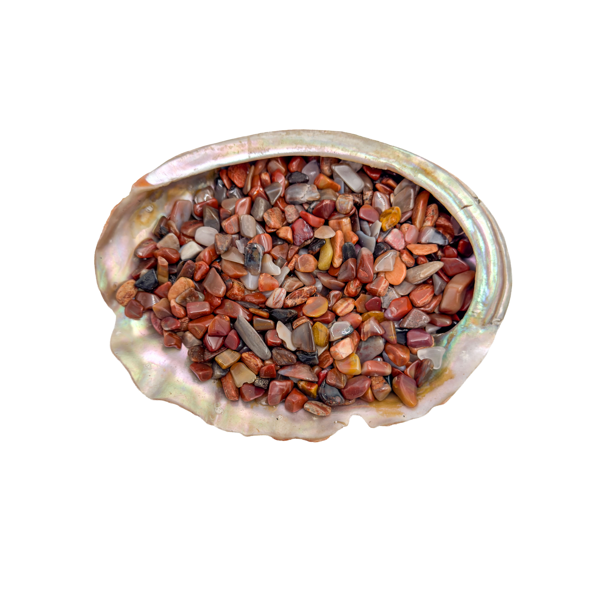 Grade A petrified wood crystal chips in a bowl, sourced from Madagascar
