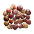 Petrified Wood Crystal Hearts for Grounding, Healing & Protection — brown polished, AA grade Madagascar-sourced