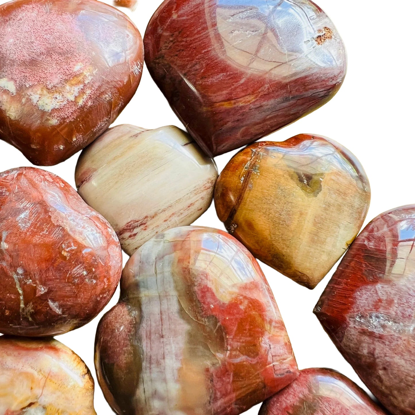Bottom side of Petrified Wood polished heart, showing natural inclusions.