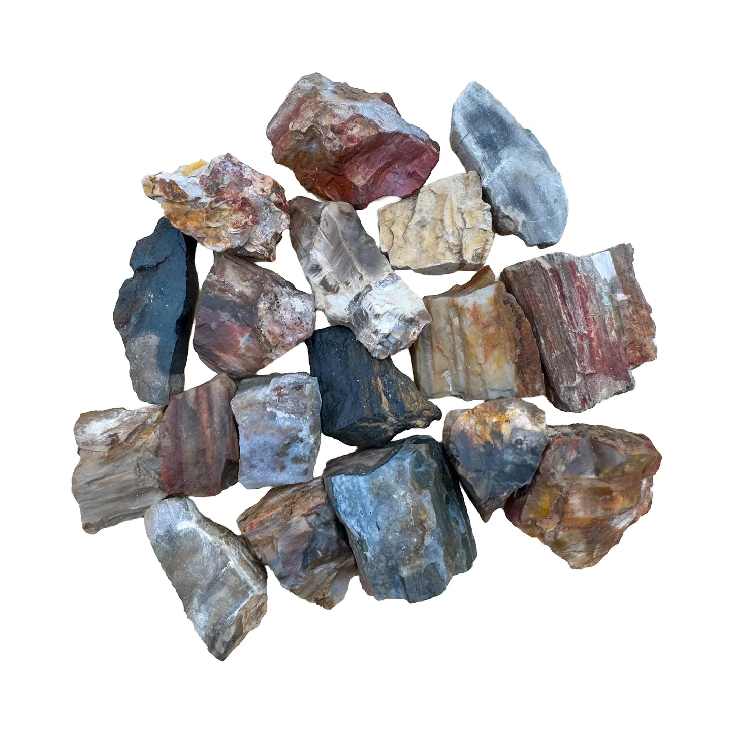 Raw Petrified Wood Crystals for Grounding, Healing & Protection — brown rough natural, A grade from Madagascar