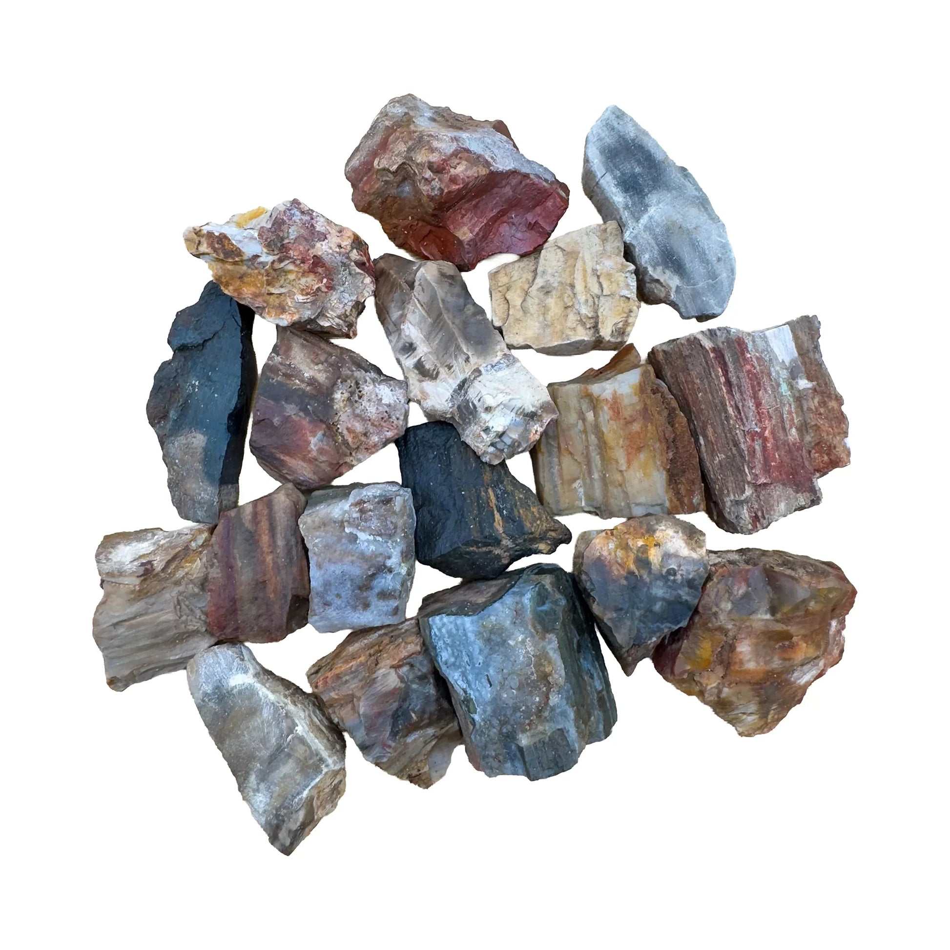 Raw Petrified Wood Crystals for Grounding, Healing & Protection — brown rough natural, A grade from Madagascar
