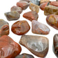 Petrified Wood tumbled stone with visible wood grain, AA grade Madagascar