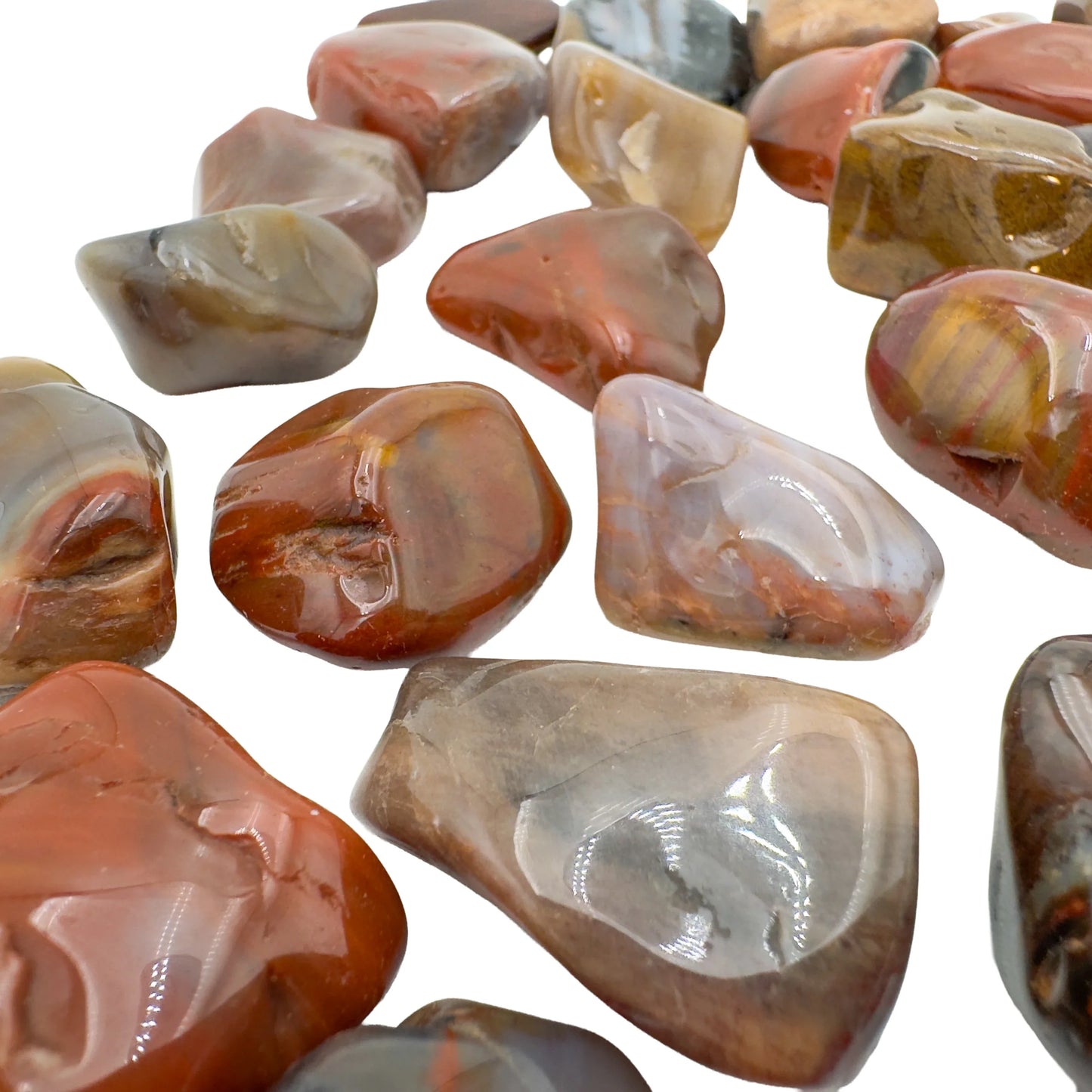 Petrified Wood tumbled stone with visible wood grain, AA grade Madagascar