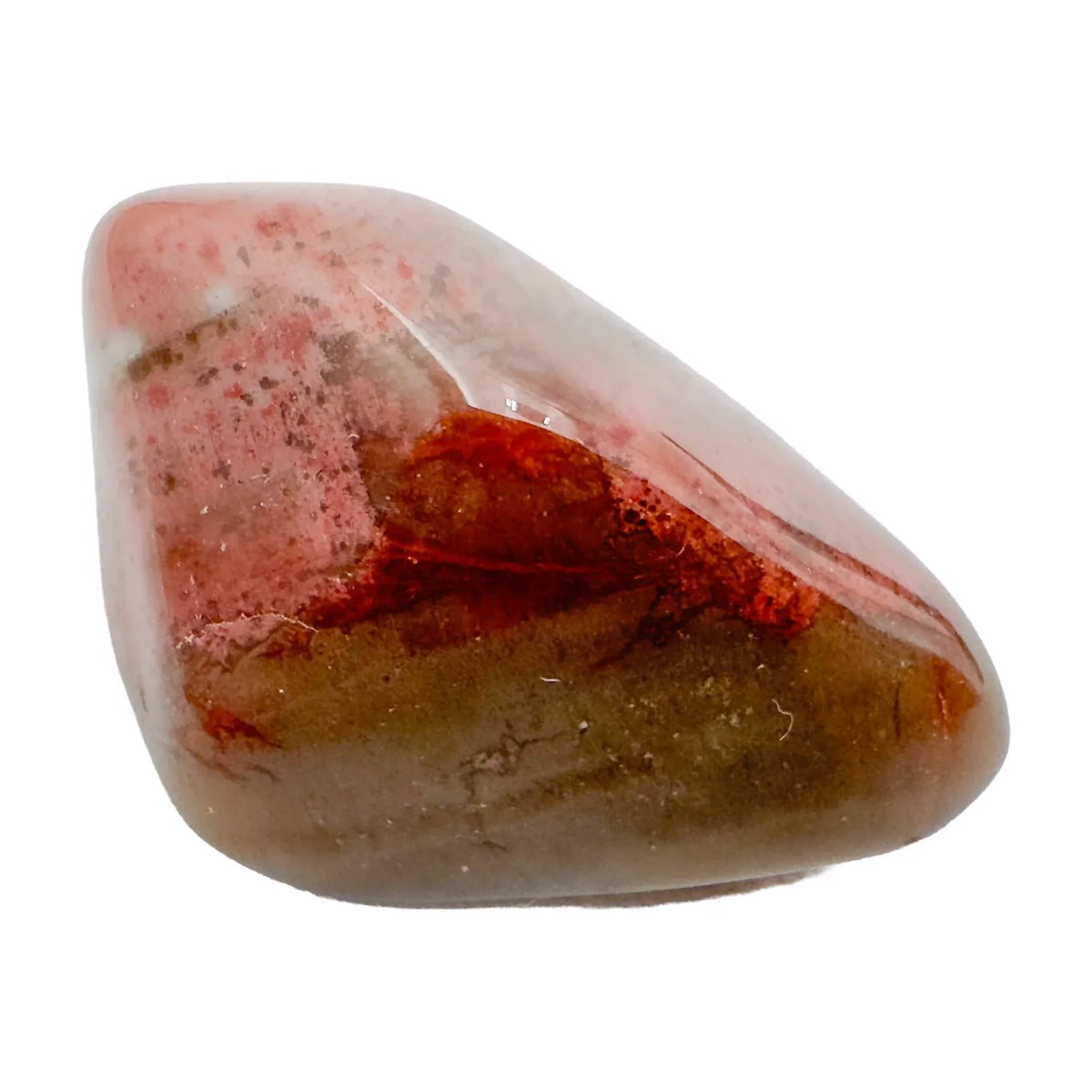 Petrified Wood Tumbled Stones, AA Grade, Madagascar: one representative stone on a white background