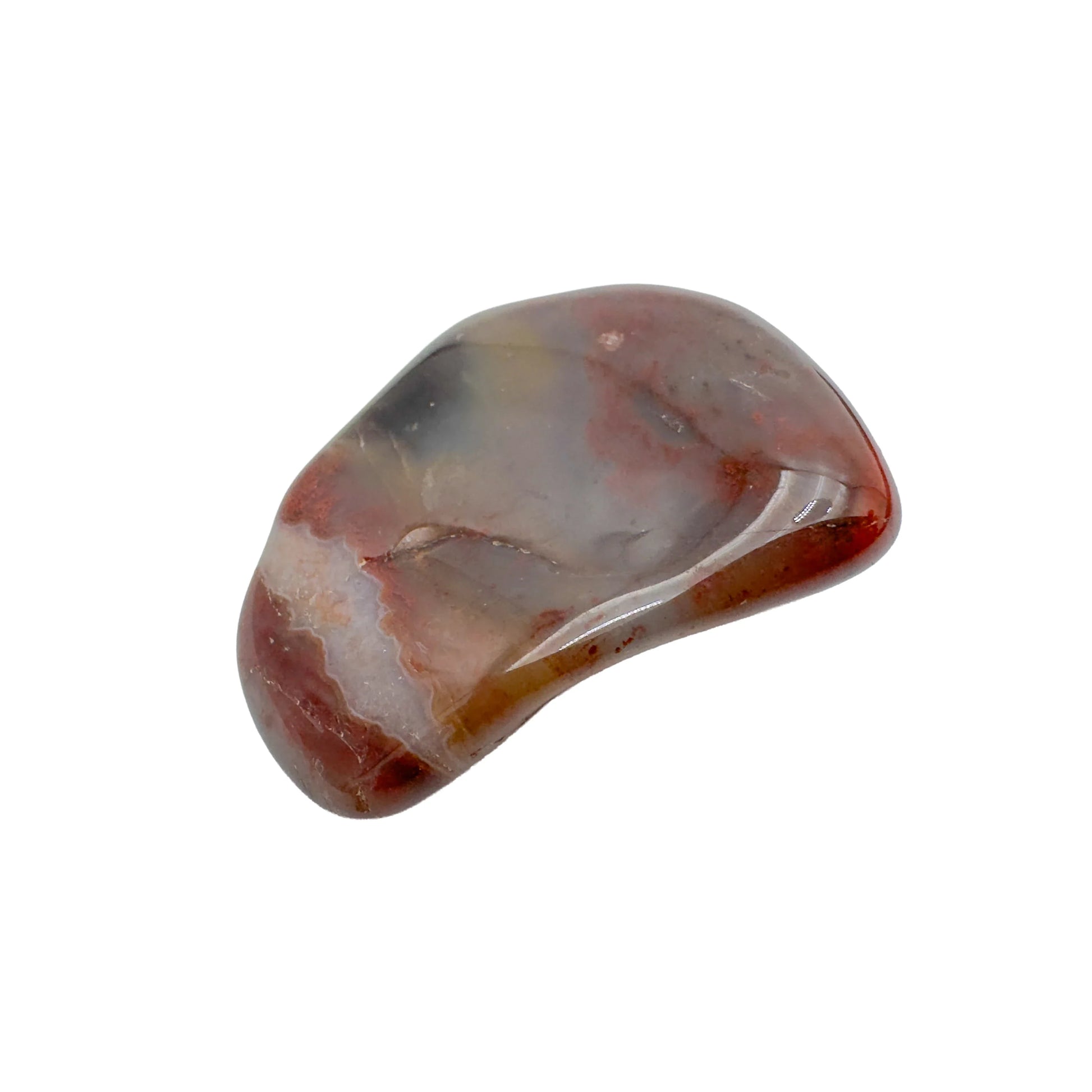 Single Petrified Wood tumbled stone, AA grade Madagascar, brown fossil wood