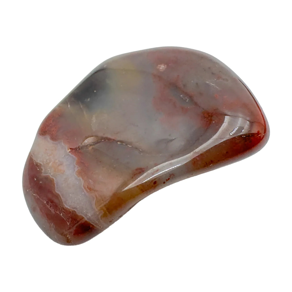 Single Petrified Wood tumbled stone, AA grade Madagascar, brown fossil wood