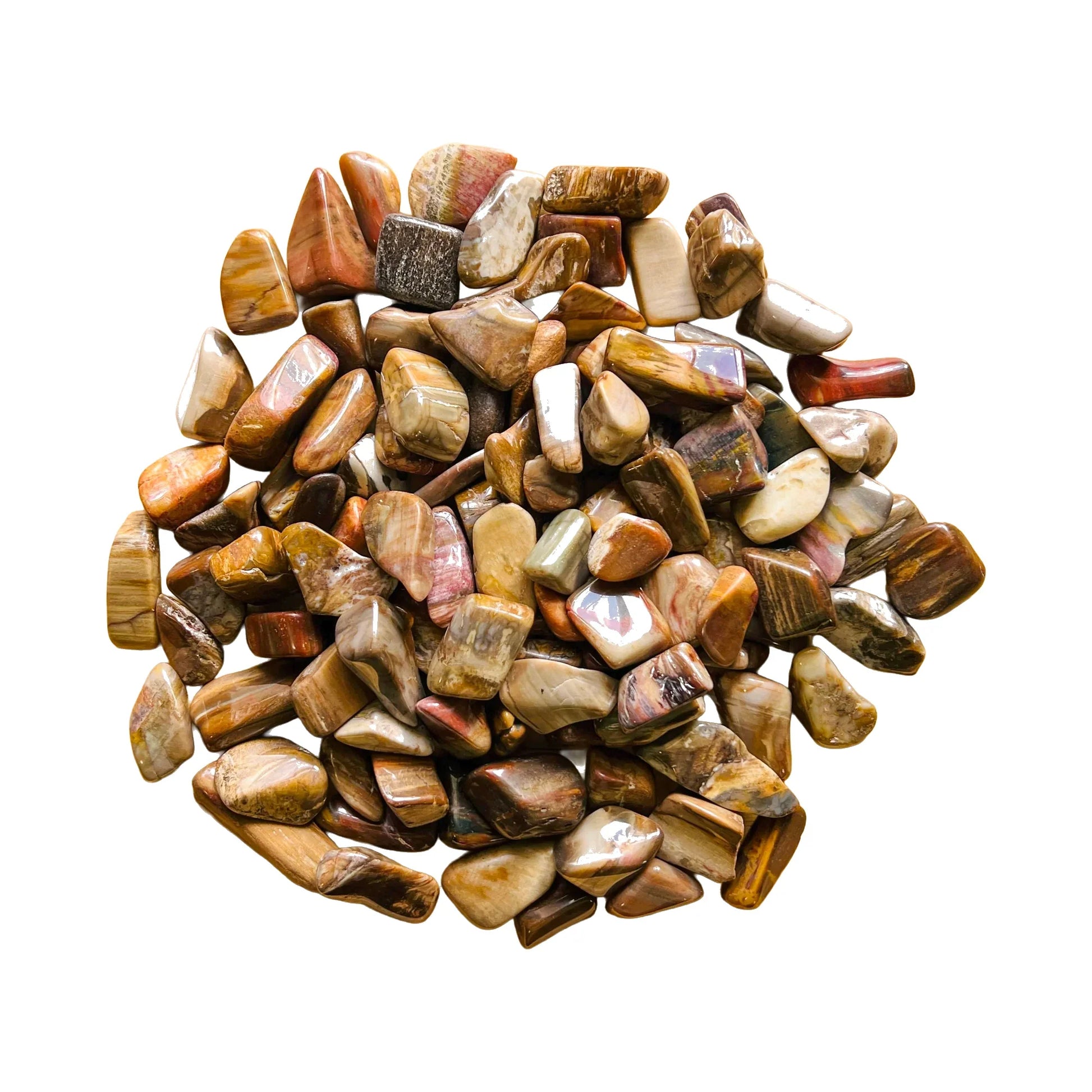 Petrified Wood Tumbled Stones for Grounding, Healing & Protection — brown polished, A Madagascar-sourced
