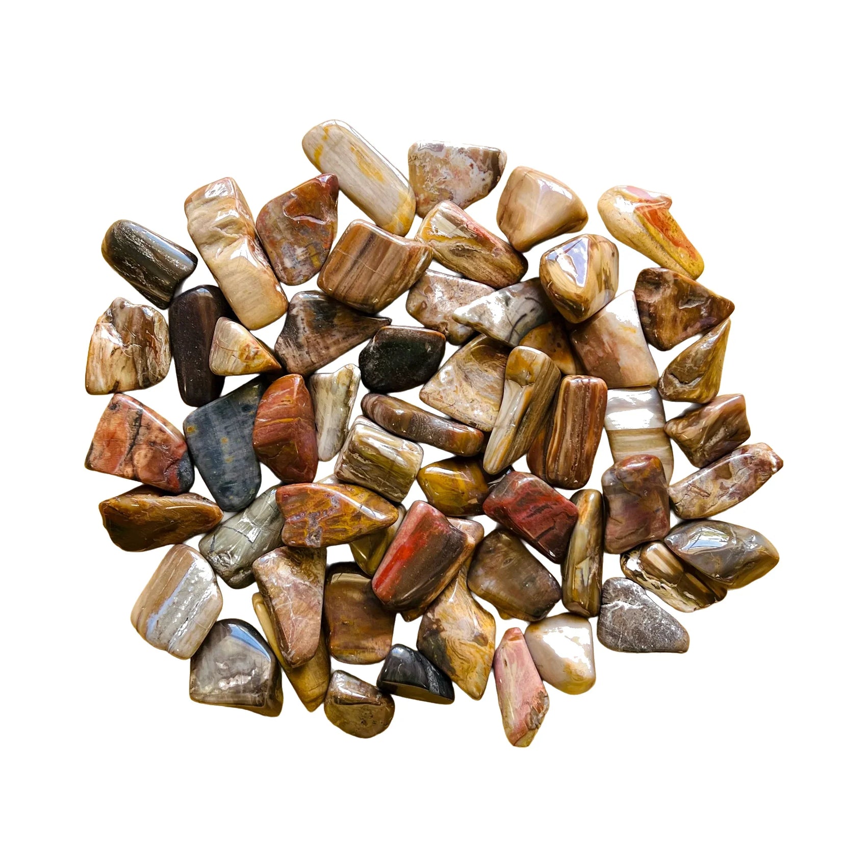 Petrified Wood Crystals to support Grounding, Healing & Protection — brown polished, hand-selected A from Madagascar