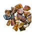 Petrified Wood Tumbled Stones to support Grounding, Healing & Protection — brown polished, A grade from Madagascar