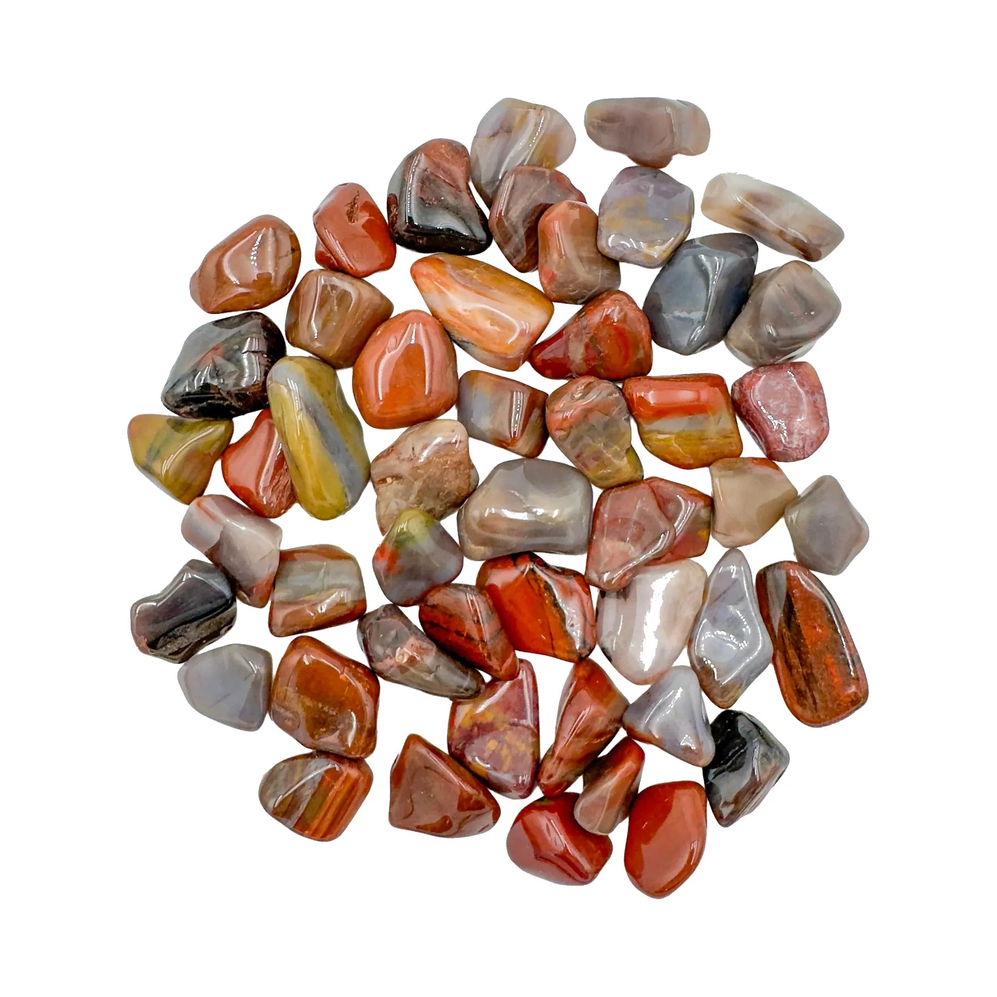 Petrified Wood Crystals for Grounding, Healing & Protection — brown polished, AA grade Madagascar-sourced