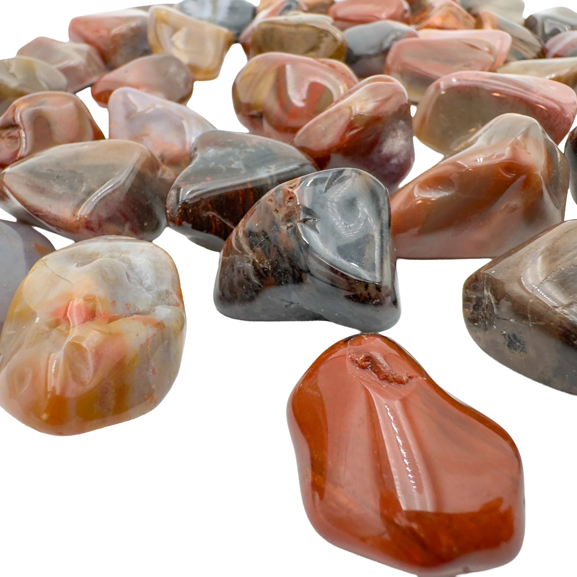 Close-up of polished Petrified Wood tumbled stones showing grain, Madagascar