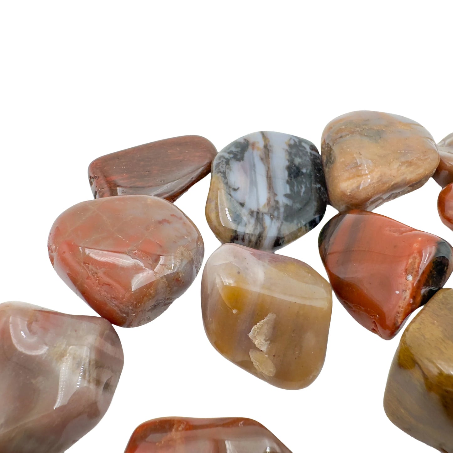 Detail of AA grade Petrified Wood tumbled stones, brown and red tones