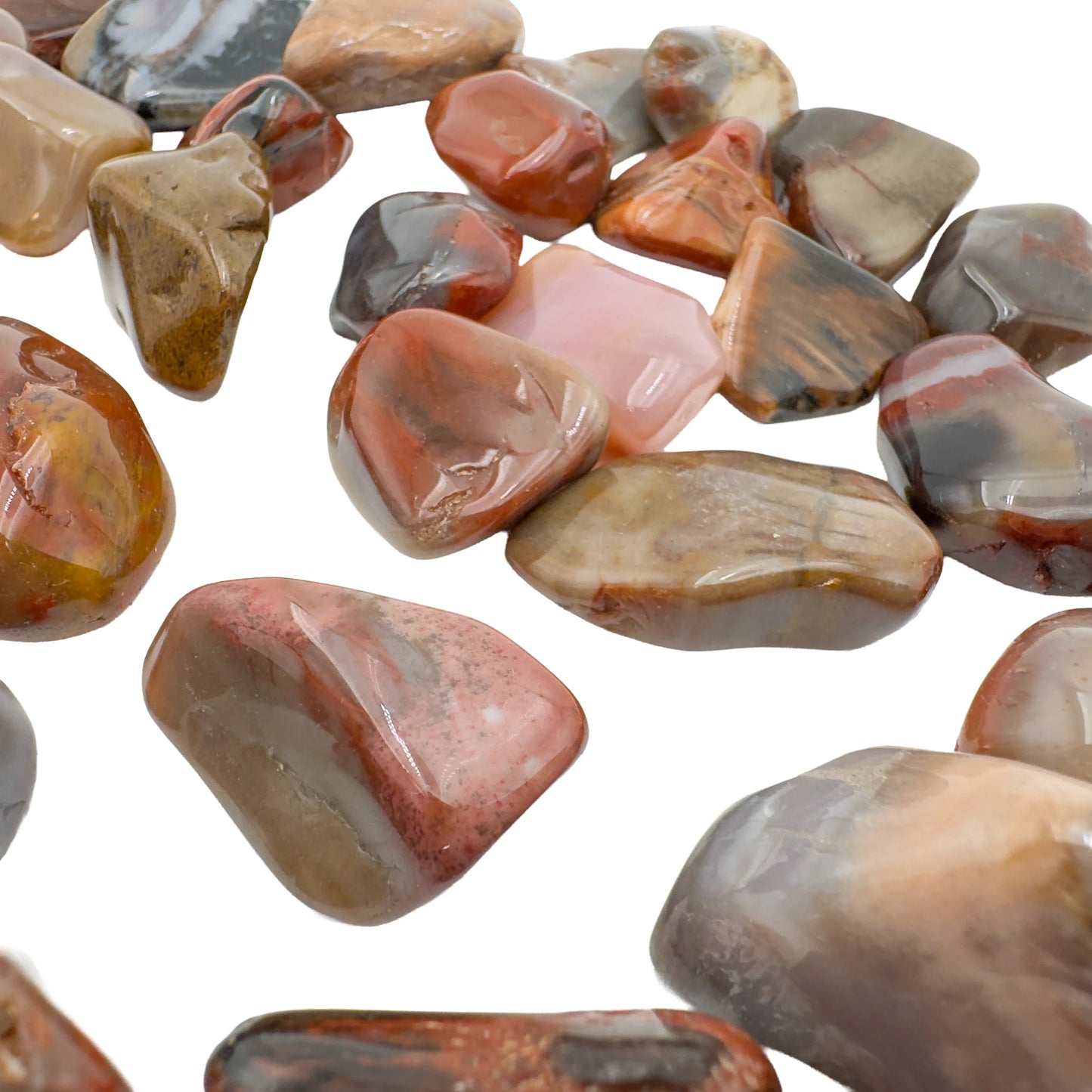 Group of Petrified Wood tumbled stones, AA grade from Madagascar