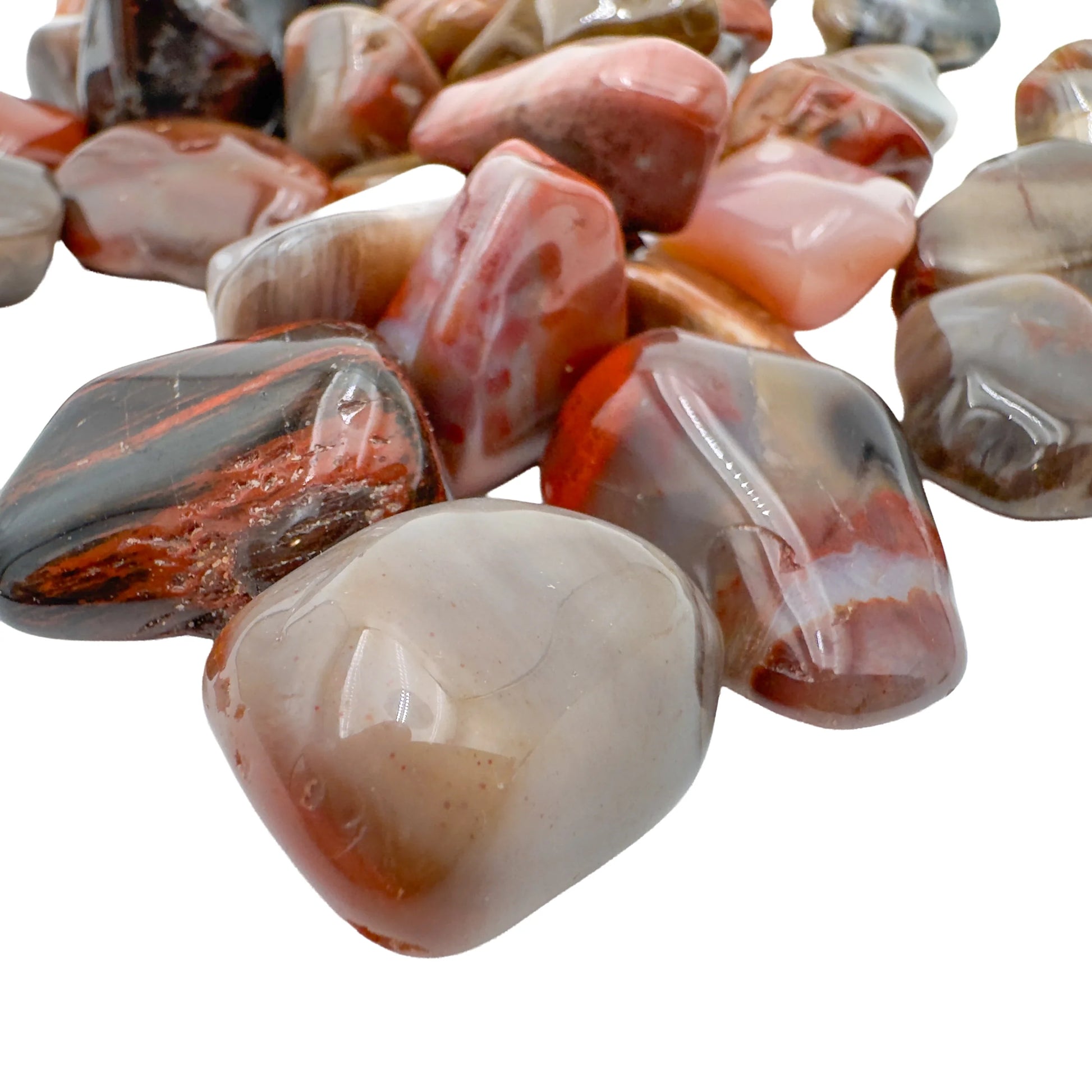 Natural Petrified Wood tumbled stones, AA grade from Madagascar