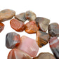 Polished Petrified Wood tumbled stones showing fossil grain, Madagascar