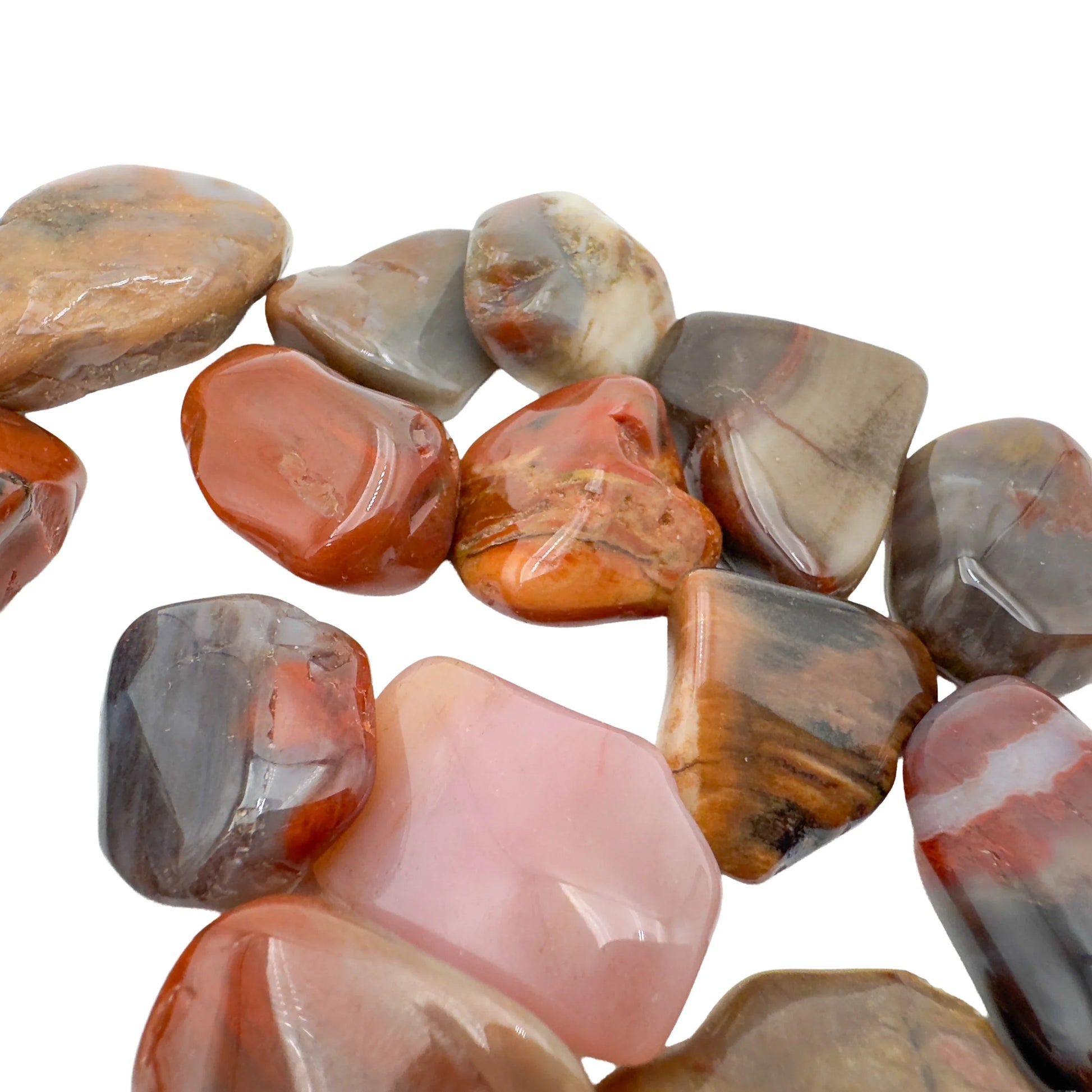 Polished Petrified Wood tumbled stones showing fossil grain, Madagascar