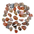 Brown Petrified Wood tumbled stones, AA grade Madagascar, scattered on white
