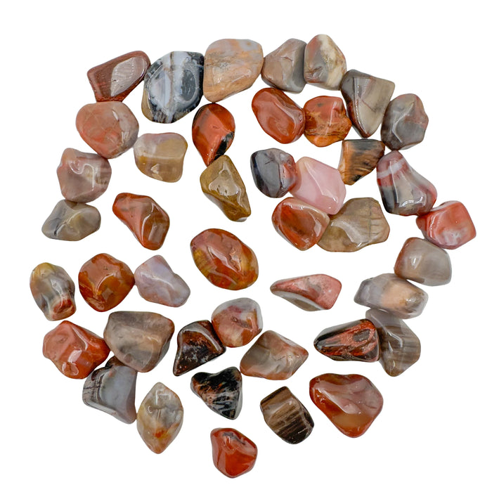 Brown Petrified Wood tumbled stones, AA grade Madagascar, scattered on white