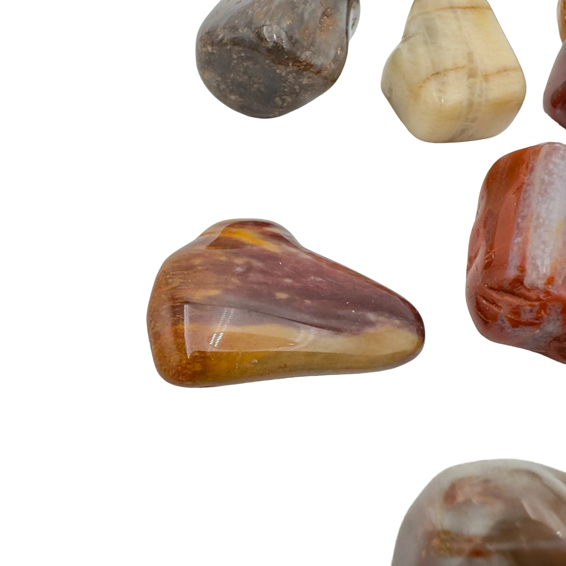 Detail of large Petrified Wood tumbled stones showing grain, Madagascar