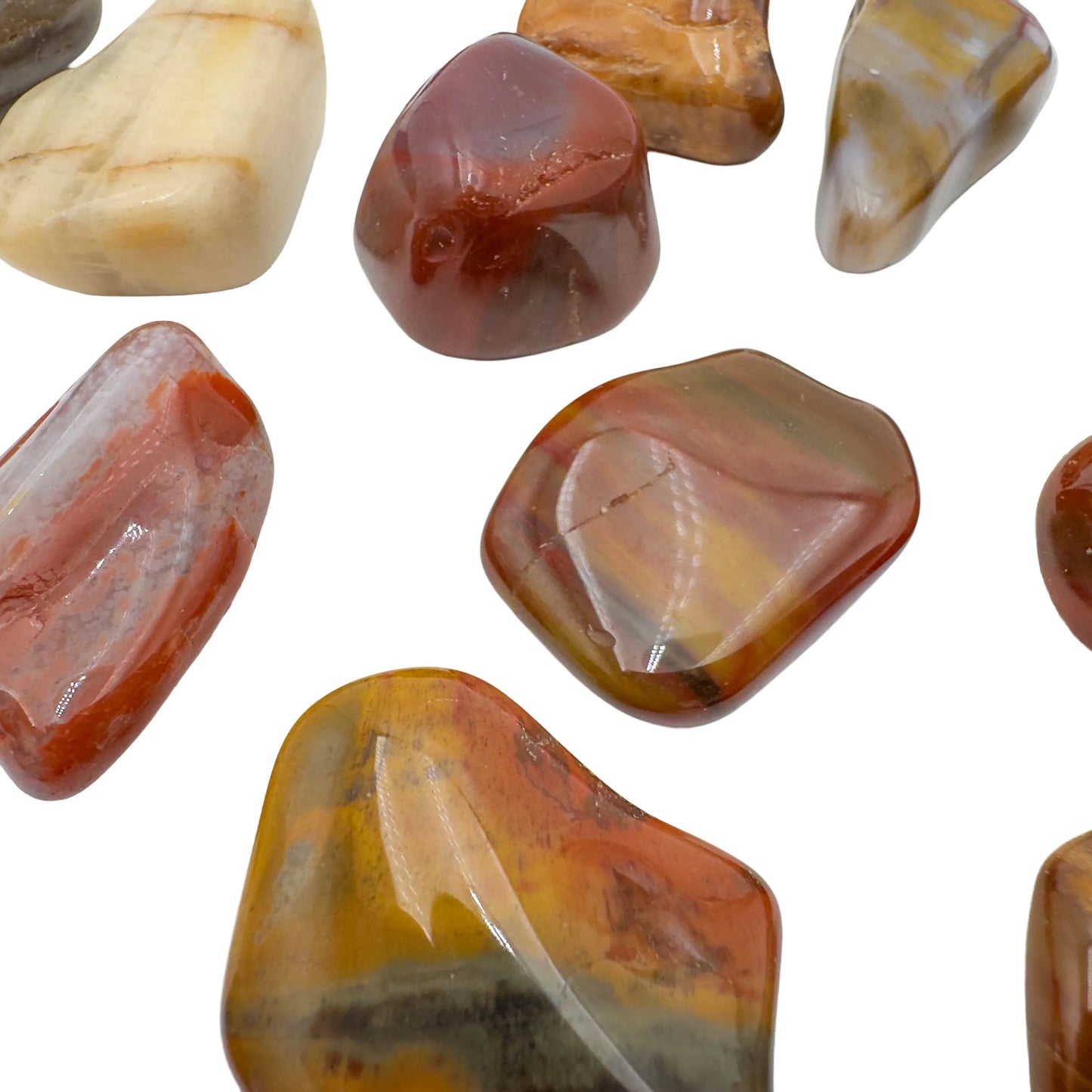 Group of large Petrified Wood tumbled stones, AA grade from Madagascar