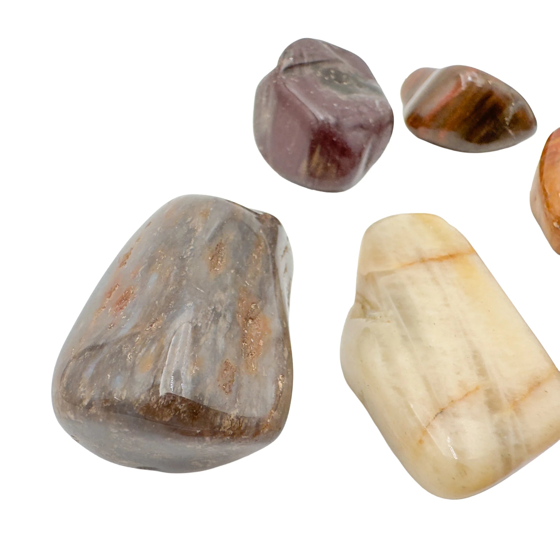 Two large Petrified Wood tumbled stones, AA grade Madagascar, brown grain