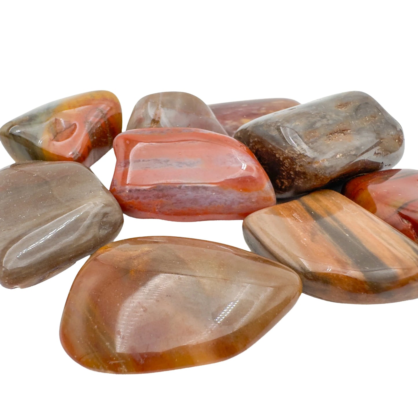 Pile of large Petrified Wood tumbled stones, AA grade from Madagascar