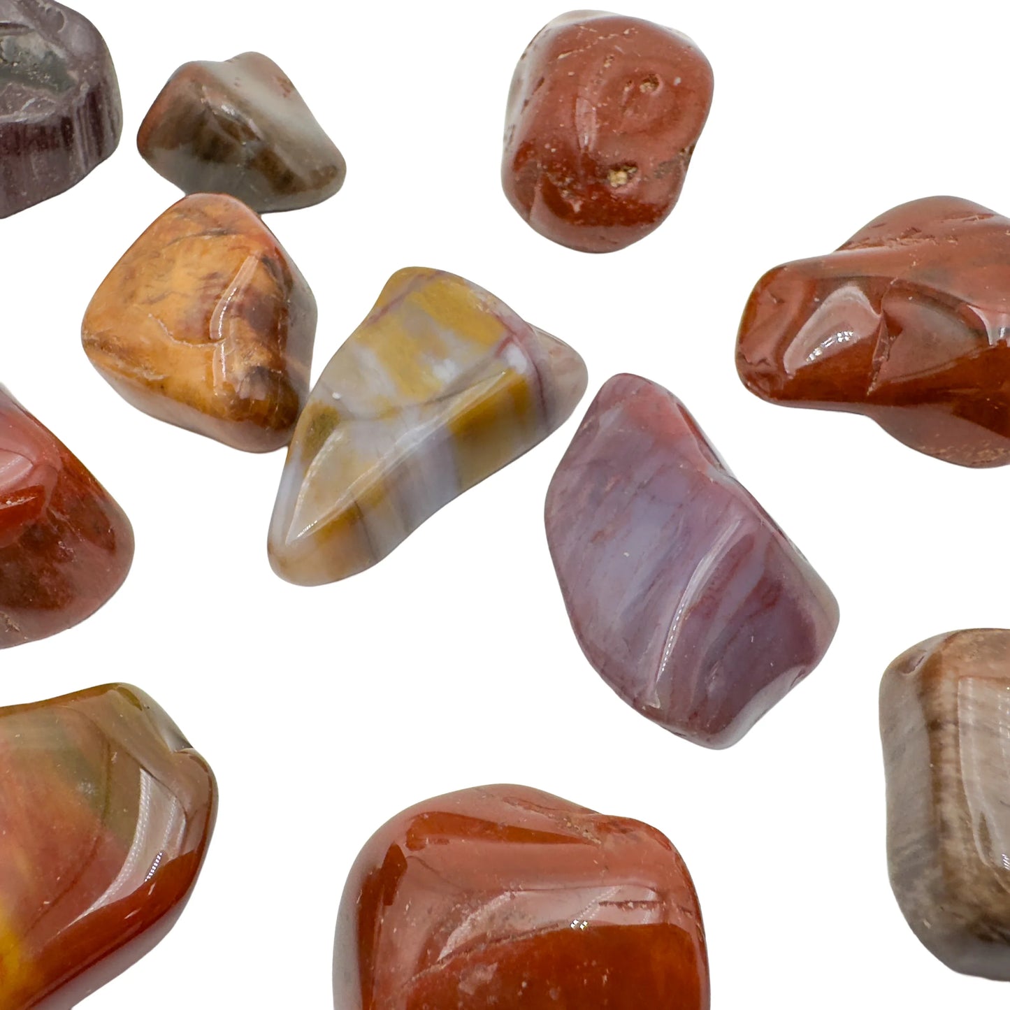 Polished large Petrified Wood tumbled stones, AA grade from Madagascar