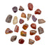 Large brown Petrified Wood tumbled stones, AA grade Madagascar, on white