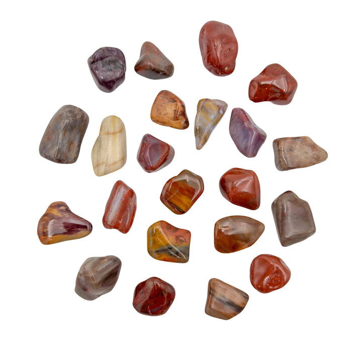 Large brown Petrified Wood tumbled stones, AA grade Madagascar, on white