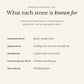 What each stone in the Pisces Crystal Kit is traditionally known for: amethyst point, quiet, steady calm; aquamarine, settling into who you already are; bloodstone, a quiet sense of renewal; lithium quartz point, letting something go; blue calcite, winding down. Listed as traditional associations, not health claims