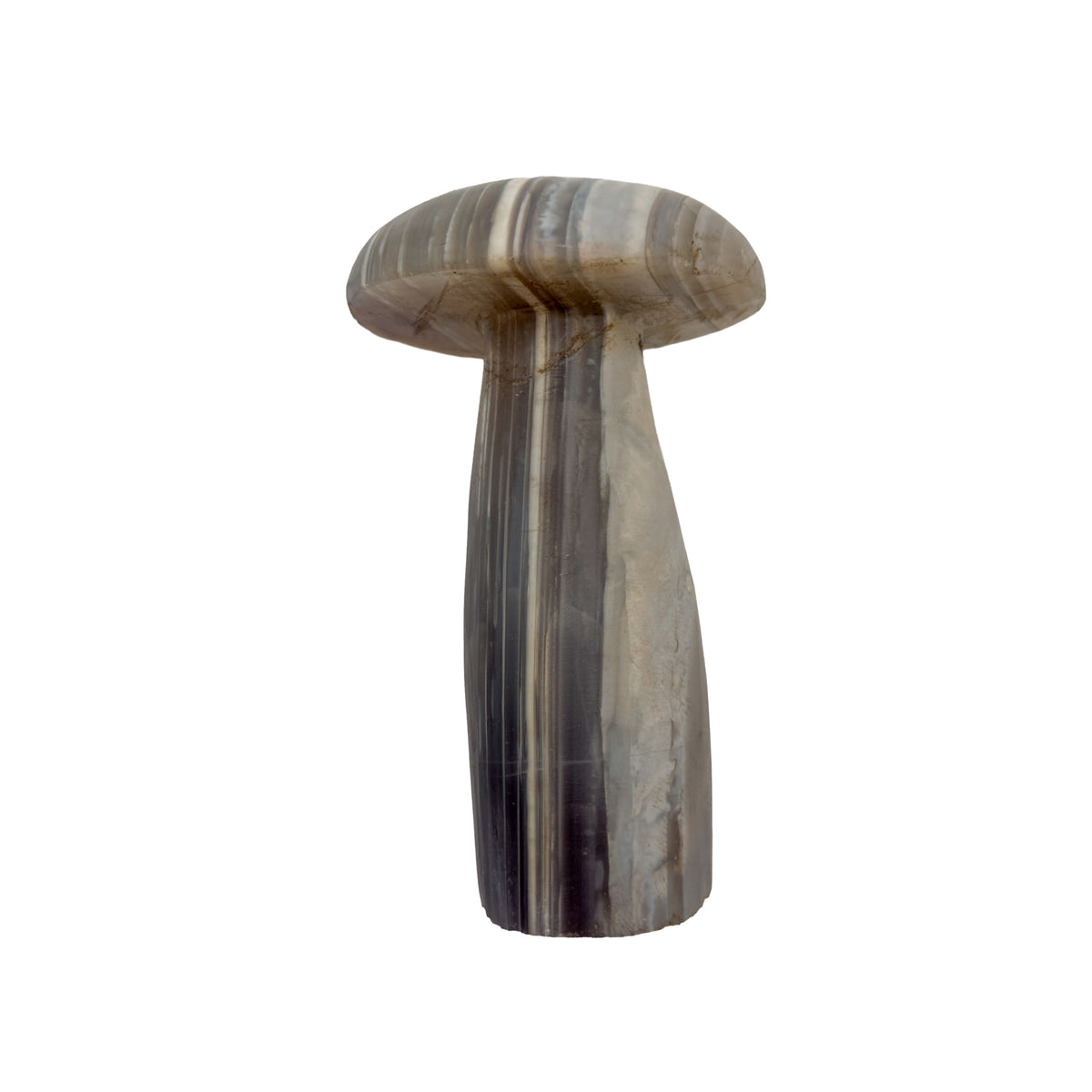 Top-down view of the agate mushroom cap, concentric banding exposed by the cut and polished smooth.