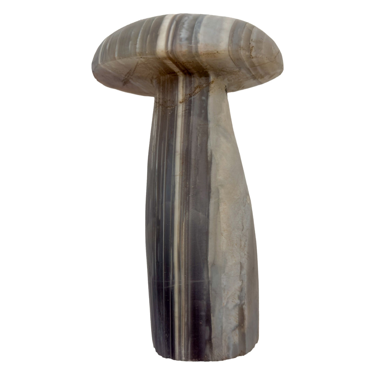 Top-down view of the agate mushroom cap, concentric banding exposed by the cut and polished smooth.